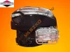Briggs & Stratton 675 EXI motor 22,2x56