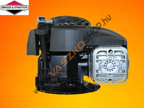Briggs & Stratton 450 OHV motor 22,2x80 