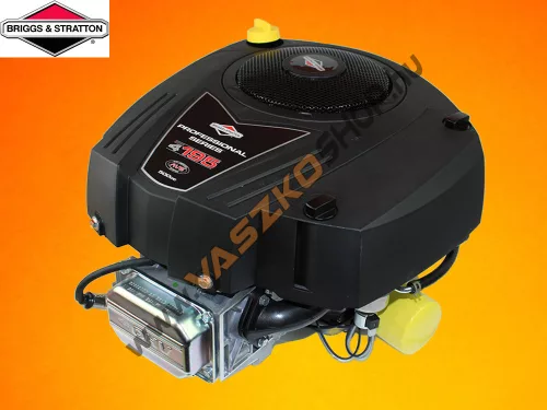 Briggs & Stratton Powerbuilt 4195 OHV motor 
