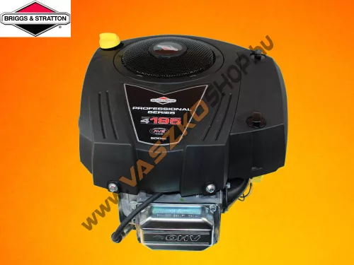 Briggs & Stratton Powerbuilt 4195 OHV motor 