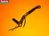 Gazkar-Makita-RST-250