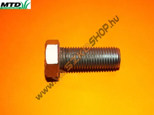 Ékszíjtárcsa rögzítő csavar MTD 350G