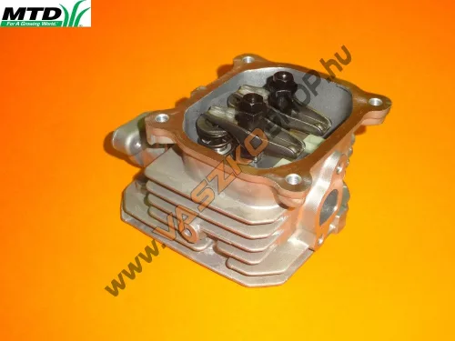 Hengerfej vezérléssel MTD Thorx (1P61)
