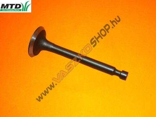 Szívószelep MTD Thorx P61