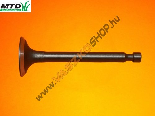 Szívószelep MTD Thorx P61