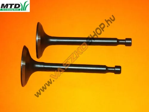 Kipufogószelep + Szívószelep MTD Thorx P70