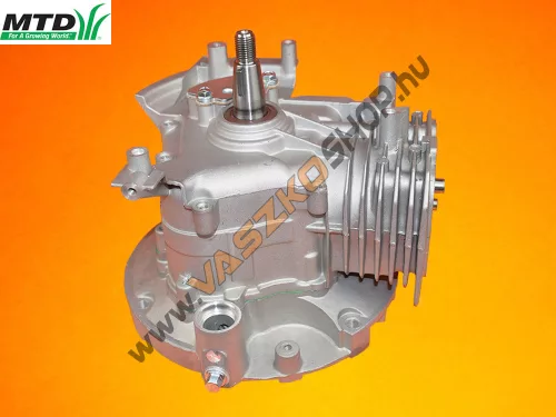 Szervízmotor MTD 1P70WH