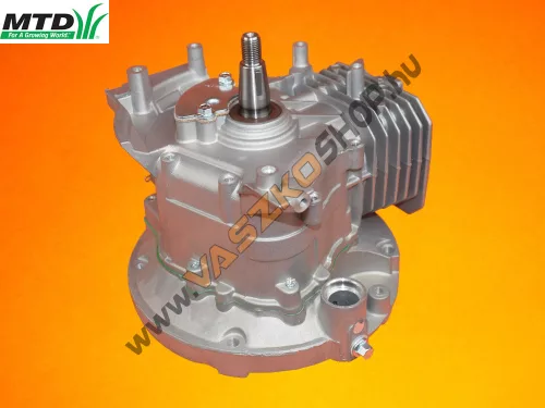 Szervízmotor MTD 1P70WH