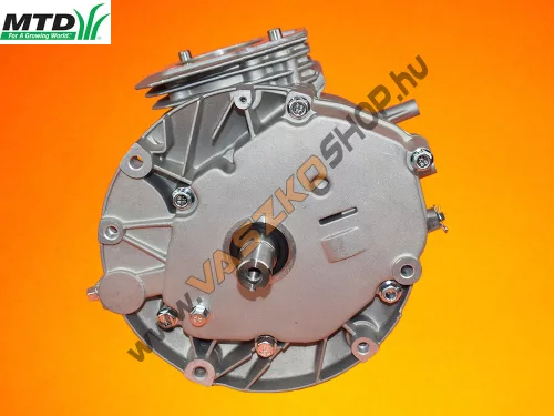 Szervízmotor MTD 1P70WH