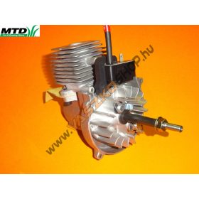 Motor MTD 790