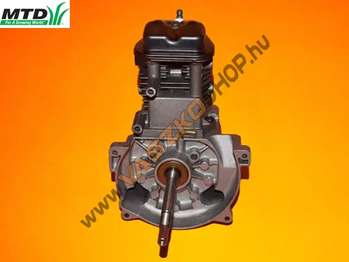 Motor MTD 990