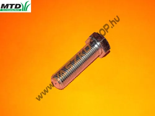 Ékszíjtárcsa felfogató csavar MTD L130 