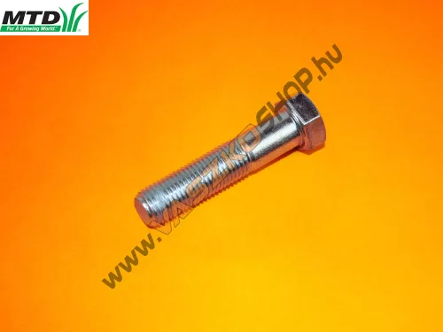 Ékszíjtárcsa felfogató csavar MTD BTR 1101