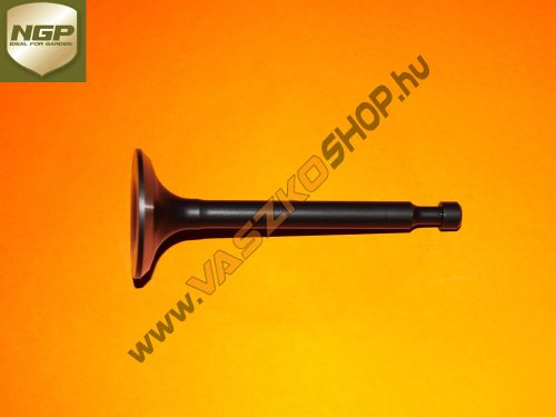 Kipufogó szelep NGP T475