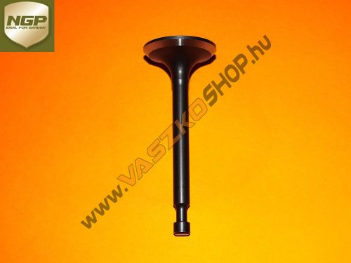 Kipufogó szelep NGP T475