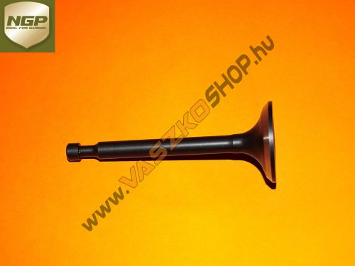 Kipufogó szelep NGP T475