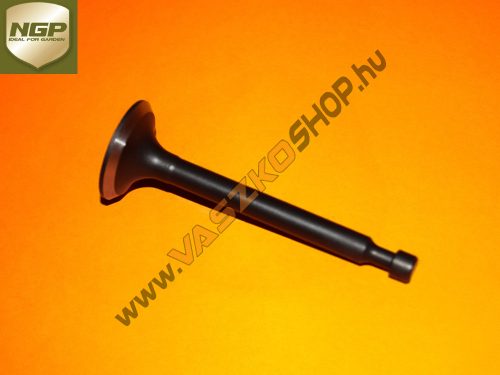 Szívó szelep NGP T475