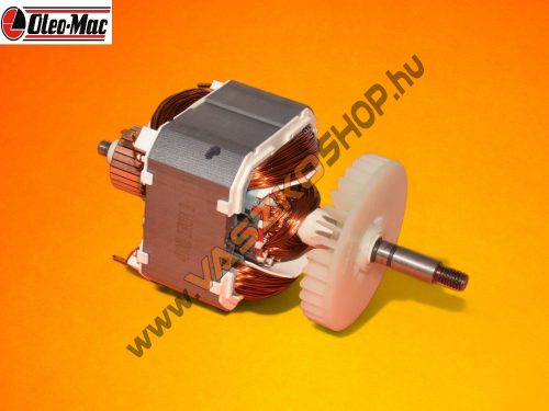 Villanymotor-Oleo-Mac-GS180-E-GS200-E