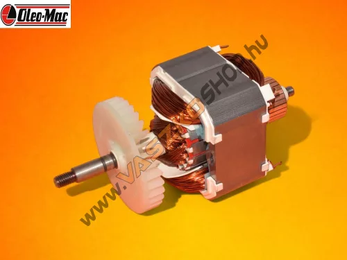 Villanymotor-Oleo-Mac-GS180-E-GS200-E
