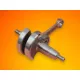 Fotengely-Riwall-RPMT-520