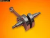 Fotengely-Riwall-RPMT-520