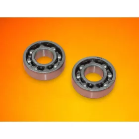 Fotengely-csapagy-Riwall-RPMT-520